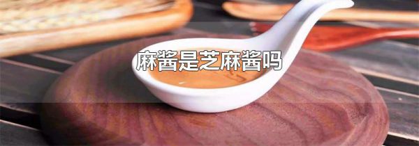 麻酱是芝麻酱吗