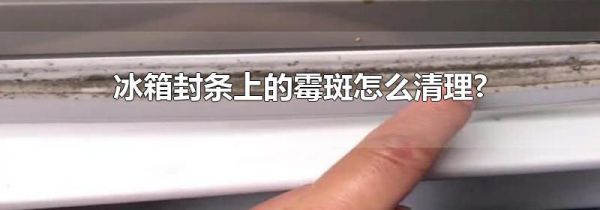 冰箱封条上的霉斑怎么清理?