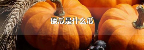 倭瓜是什么瓜