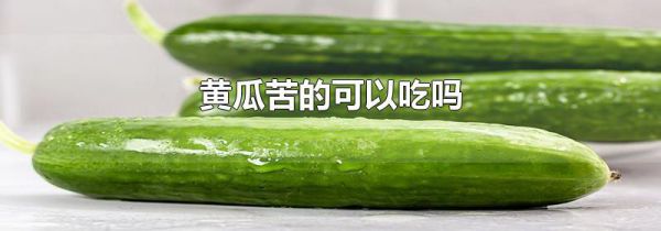 黄瓜苦的可以吃吗