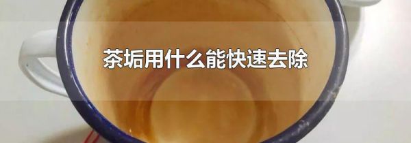 茶垢用什么能快速去除