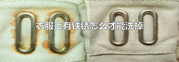 衣服上有铁锈怎么才能洗掉