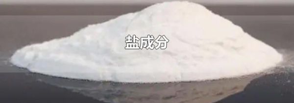盐成分