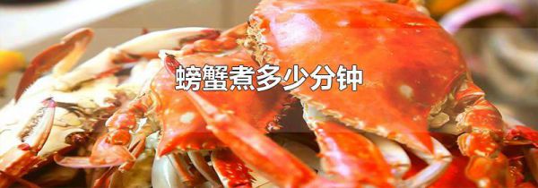 螃蟹煮多少分钟