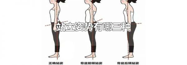 站立姿势有哪三种