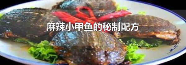 麻辣小甲鱼的秘制配方