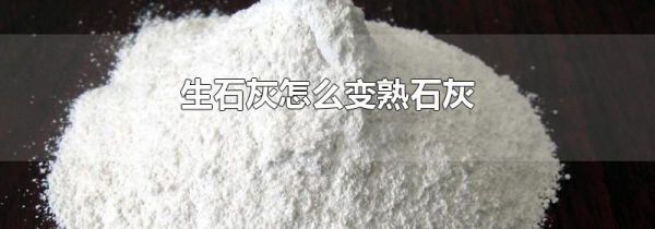 生石灰怎么变熟石灰