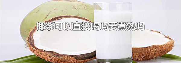椰浆可以直接喝吗要煮熟吗