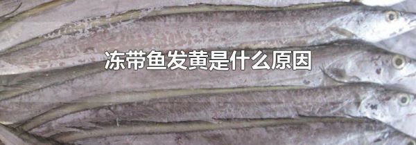 冻带鱼发黄是什么原因
