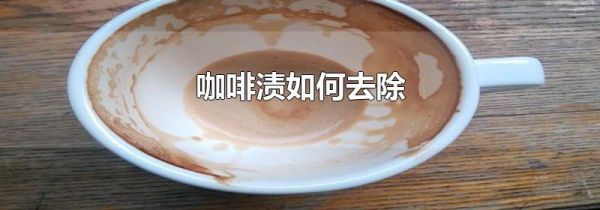咖啡渍如何去除
