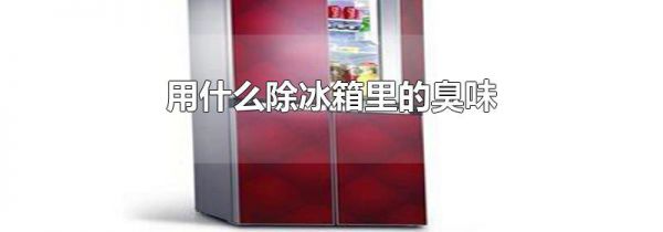 用什么除冰箱里的臭味