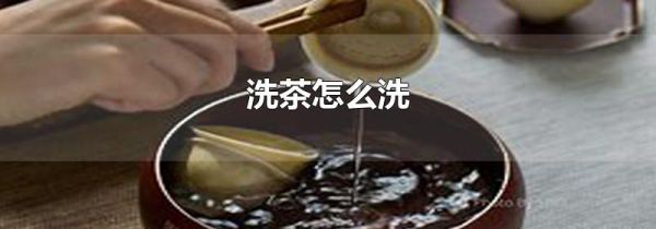 洗茶怎么洗