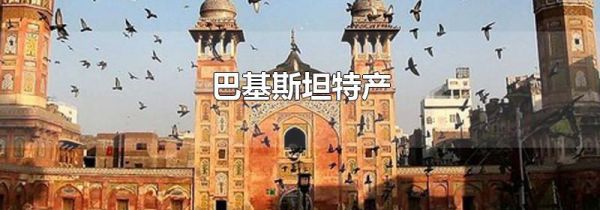 巴基斯坦特产