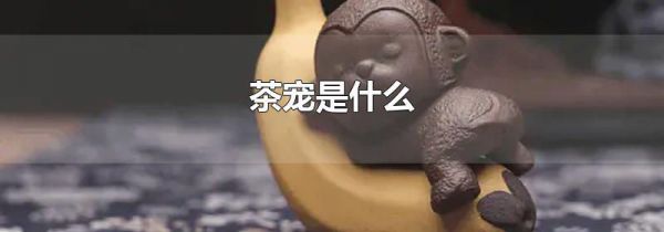 茶宠是什么