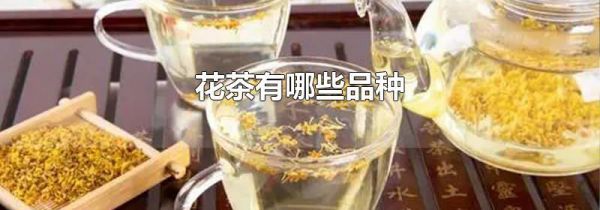 花茶有哪些品种