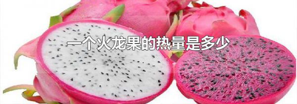 一个火龙果的热量是多少