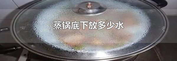 蒸锅底下放多少水