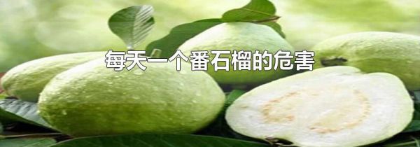 每天一个番石榴的危害