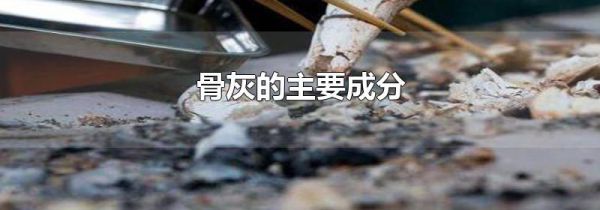 骨灰的主要成分