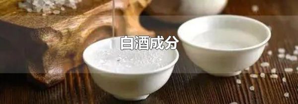 白酒成分