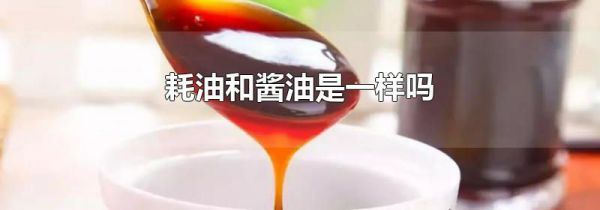 耗油和酱油是一样吗