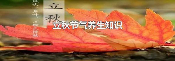 立秋节气养生知识