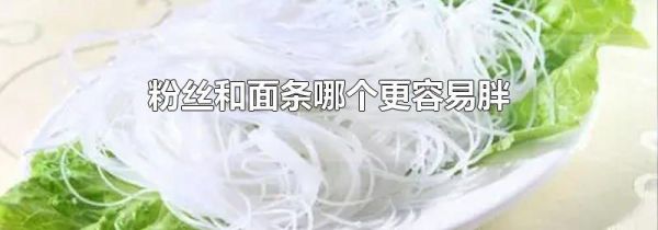 粉丝和面条哪个更容易胖