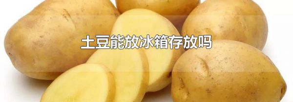 土豆能放冰箱存放吗