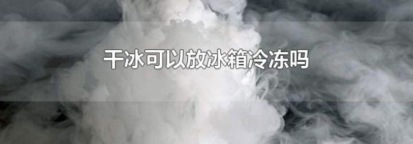 干冰可以放冰箱冷冻吗