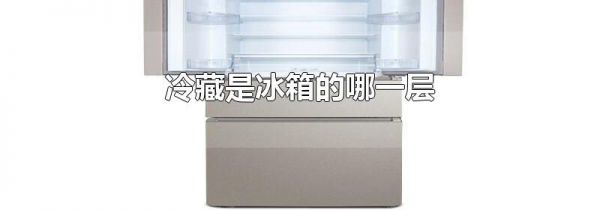 冷藏是冰箱的哪一层