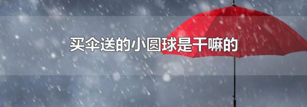 买伞送的小圆球是干嘛的