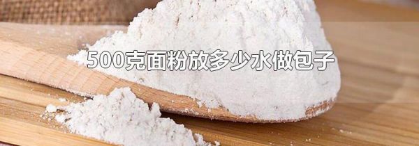 500克面粉放多少水做包子