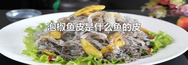 泡椒鱼皮是什么鱼的皮