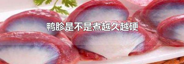 鸭胗是不是煮越久越硬