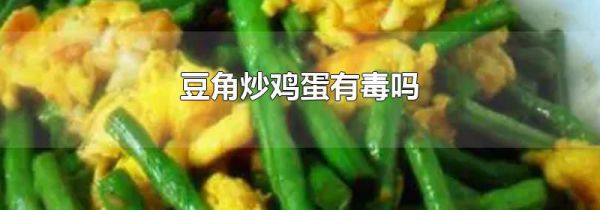 豆角炒鸡蛋有毒吗