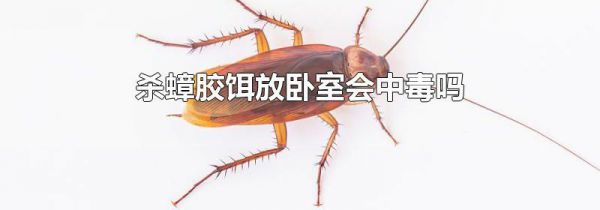 杀蟑胶饵放卧室会中毒吗