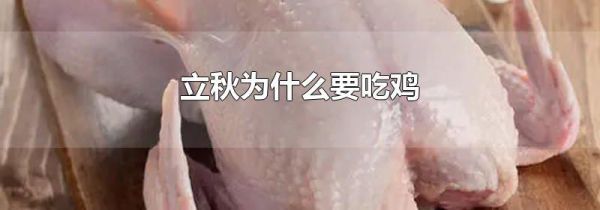 立秋为什么要吃鸡