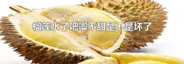 榴莲水了吧唧不甜是不是坏了