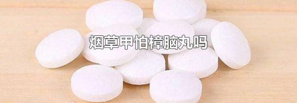 烟草甲怕樟脑丸吗
