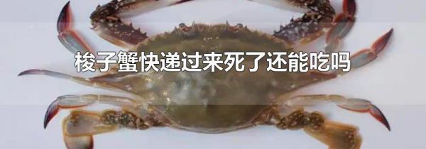 梭子蟹快递过来死了还能吃吗