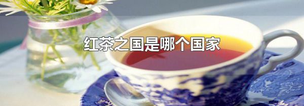 红茶之国是哪个国家