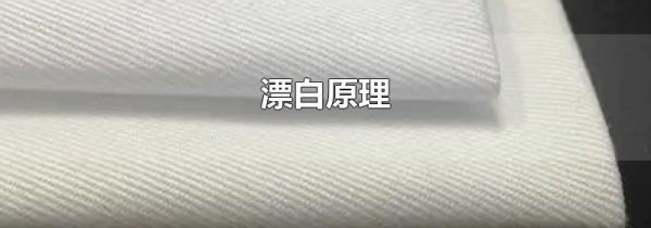 漂白原理