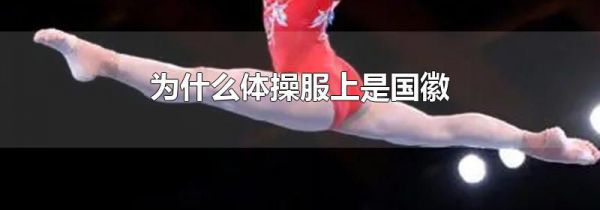 为什么体操服上是国徽