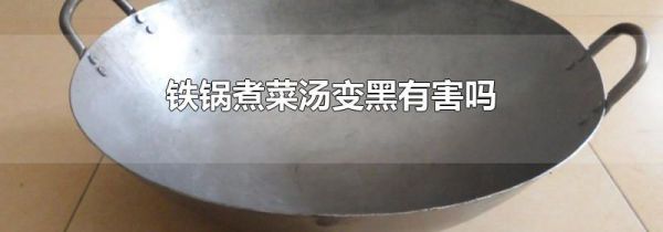 铁锅煮菜汤变黑有害吗