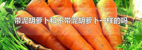 带泥胡萝卜和不带泥胡萝卜一样的吗