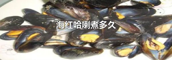 海红哈喇煮多久