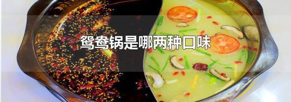 鸳鸯锅是哪两种口味