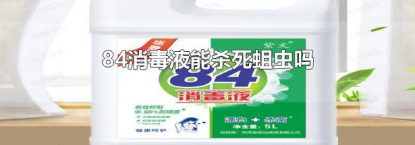 84消毒液能杀死蛆虫吗