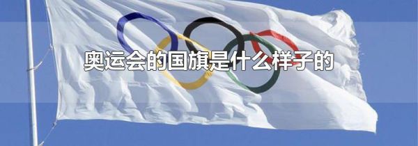 奥运会的国旗是什么样子的
