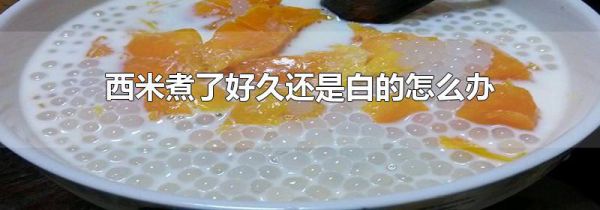 西米煮了好久还是白的怎么办